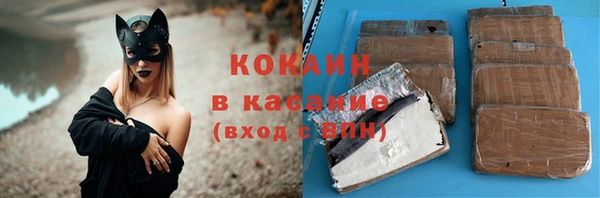 дживик Белокуриха