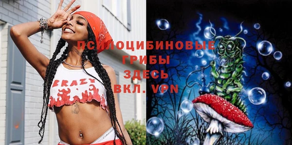 дживик Белокуриха