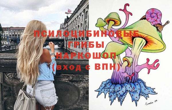 соль ск Белоозёрский
